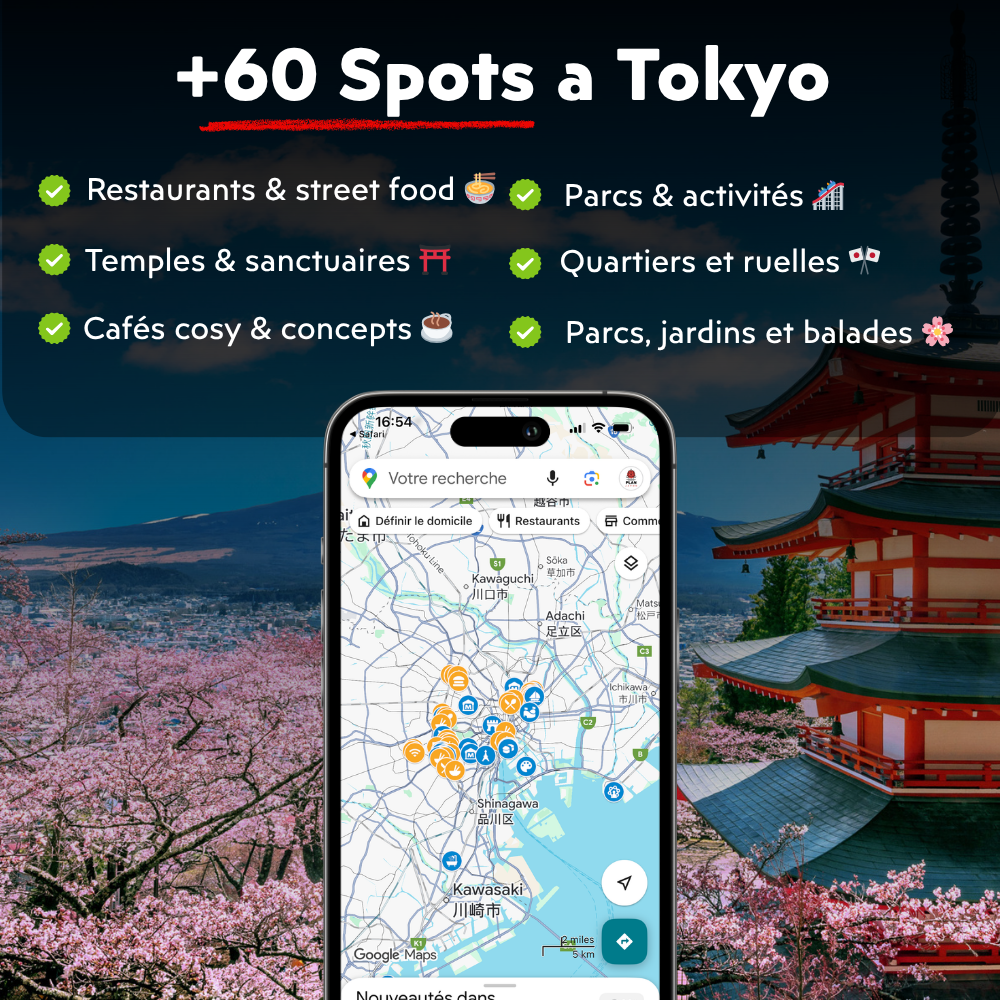 Google Maps Japón
