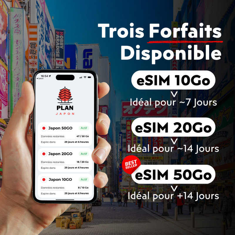 Avantages eSIM PlanJapon - TikTok Google Maps streaming sans restriction